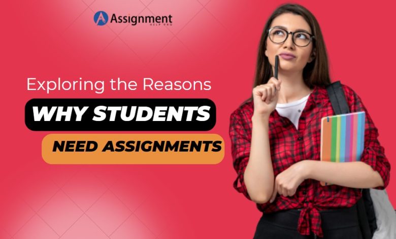 Students Need Assignments