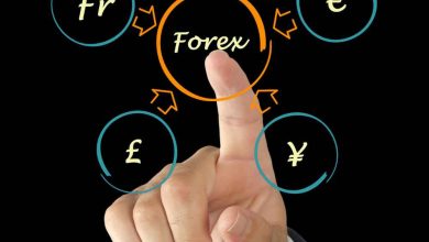 Exploring the World of Forex Live Contests