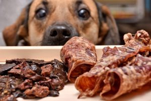 dog-treat-bundles