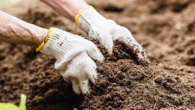 Why Soil Preparation is Crucial for Your Landscape