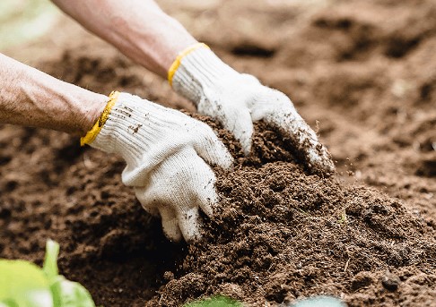 Why Soil Preparation is Crucial for Your Landscape