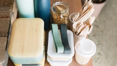 biodegradable food boxes