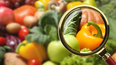 Food Safety Posters